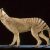 Tasmanian Wolf (Thylacine)