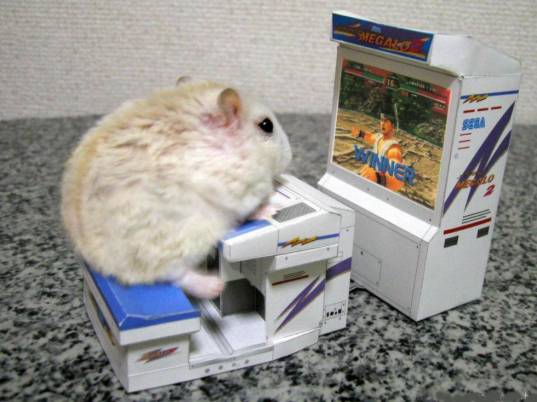 Funny Picture of a Mouse playing a Video Game